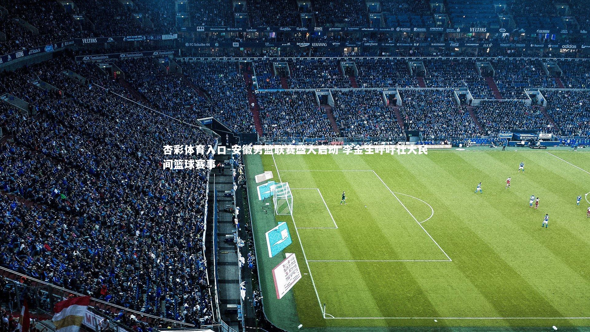 安徽男篮联赛盛大启动 李金生呼吁壮大民间篮球赛事